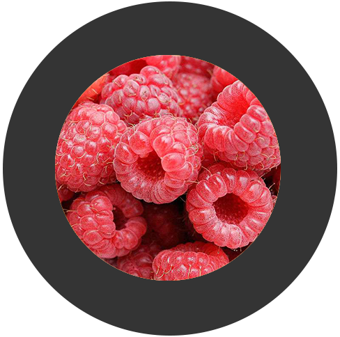 Sorbet Framboise